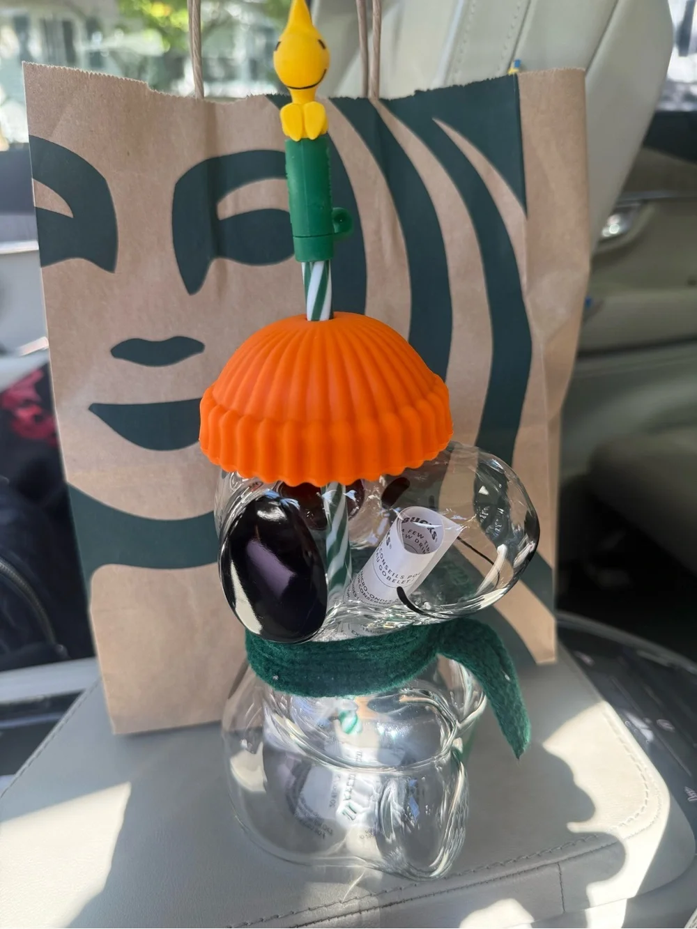Snoopy 20 oz glass cold cup. Orange beanie, green scarf and Woodstock straw top